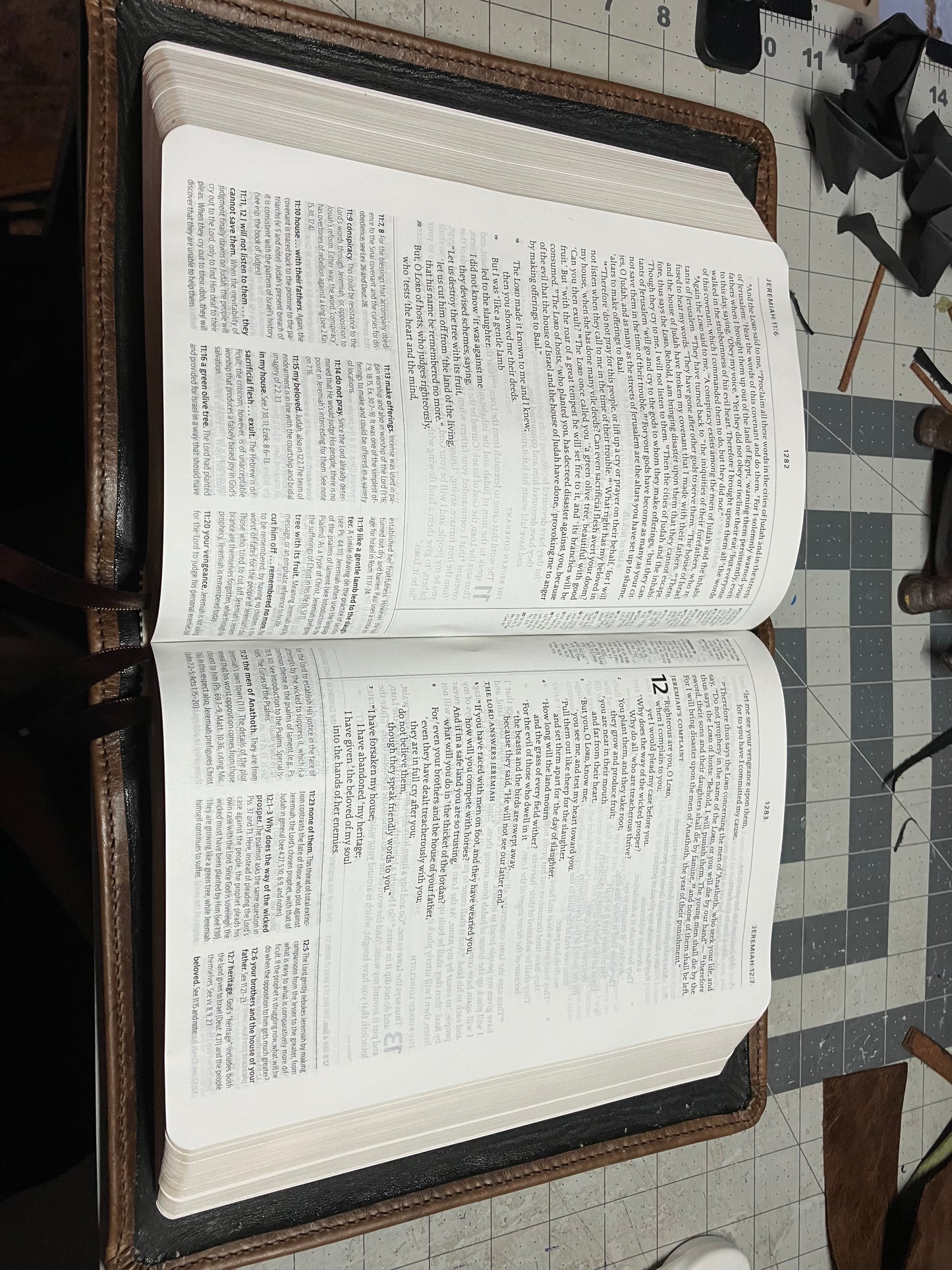 Reformation Study Bible Full Edition w/ Creeds and Confessions