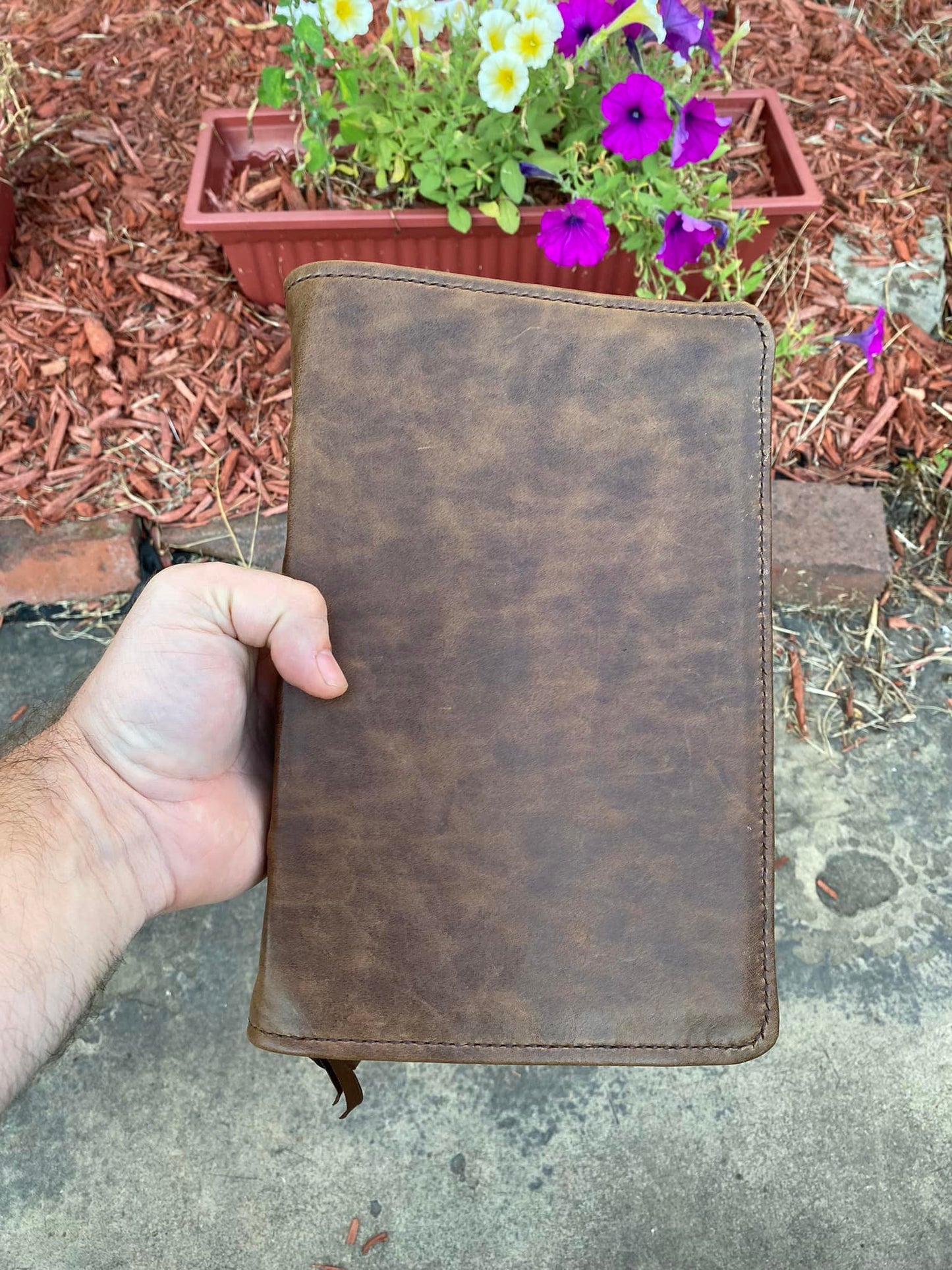 ESV Creeds and Confessions (Brown)